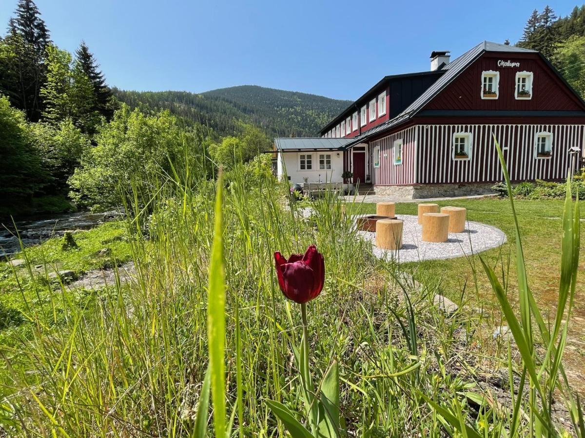 Apartmany Challupa Горни-Маршов Экстерьер фото